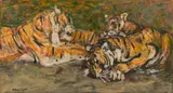 Hans Josef Weber Tyrol, Tiger