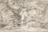 Johann Elias Ridinger, A deer ("Ein Hirsch mit 14 Änden, welcher den Bast in leichten Gestreiche abstreift")