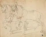 Johann Elias Ridinger, Three cavalry horses