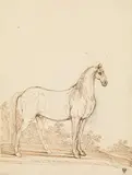 Standing horse by Johann Elias Ridinger, pencil, pen and ink in brown, unframed, sold Oct 2017