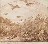 Johann Elias Ridinger, Fox quarrying a duck's nest in the reed
