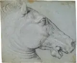 attributet to Taddeo Zuccari, Head of a horse, chalk in black and white, on blue paper, watermark, in passe-partout