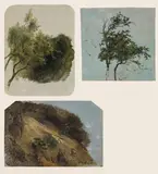 Friedrich Gauermann, Mixed lot 3 studies: studies of a tree, a branch and a rock, oil on paper on cardboard, unframed