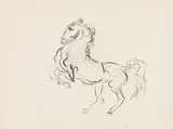 Ludwig Heinrich Jungnickel, Horse