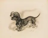 Ludwig Heinrich Jungnickel, Dachshund