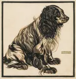 Norbertine Bresslern-Roth, Spaniel II