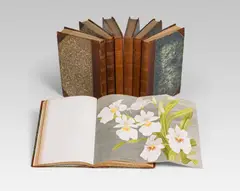 François du Buysson, L'orchidophile: journal des amateurs d'orchidées, Jahrgang 1886 bis 1892 in 7 Bänden