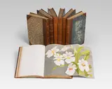François du Buysson, L'orchidophile: journal des amateurs d'orchidées, Jahrgang 1886 bis 1892 in 7 Bänden