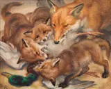 Norbertine Bresslern-Roth, Foxes