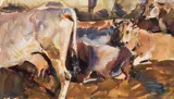 Hans Josef Weber Tyrol, Cows