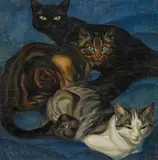 Norbertine Bresslern-Roth, Cats