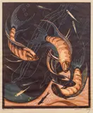 Norbertine Bresslern-Roth, Werbung (Fishes)