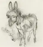 Young donkey by Ludwig Heinrich Jungnickel, charcoal on paper, sold Jun 2017