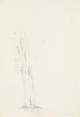 Joannis Avramidis, Baum, 1961, pencil on paper, in original folder; unframed