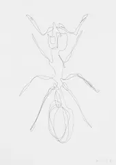 Peter Kogler, Ameise, 1996, pencil on paper; unframed