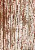 Hermann Nitsch, Schüttbild, 1998, mixed media on canvas; framed