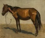 August Xaver Karl Ritter v. Pettenkofen, Study of a horse