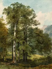 attributet to Friedrich Gauermann, Wooded landscape, oil on paper on canvas