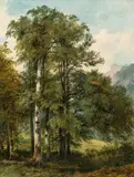 attributet to Friedrich Gauermann, Wooded landscape, oil on paper on canvas