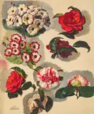 Ferdinand Küss, Mixed lot: 64 artworks, oil on canvas; pencil on paper; chalk on paper