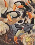 Norbertine Bresslern-Roth, Tukanjäger