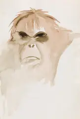 Maire-Therese Cvjo, Orang Utan I, watercoloure on paper; framed