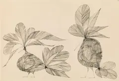 o.T. by Paul Flora, Tusche auf Papier; gerahmt, sold Mar 2017