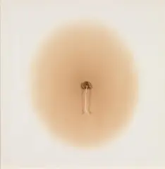 Cornelius Kolig, Tamponbild, Tampon, Urin, Papier; gerahmt im Original-Rahmen