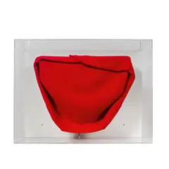o.T. - Pulli rot by Erwin Wurm, 1990, die Originalzeichnung ist datiert und signiert rechts unten: 2002 E. Wurm, sold Mar 2017