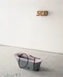 Erwin Wurm, o.T.