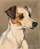 Norbertine Bresslern-Roth, Terrier