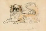 Ludwig Heinrich Jungnickel, Pekinese