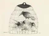 Paul Flora, 'Rabenmutter', India ink on paper