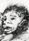 Arnulf Rainer, Face with Goya, 1983, graphite pencil on photograph; framed