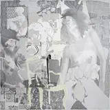 Sevda Chkoutova, narzisse_10, 2009, graphite, pencil and coloured pencil on paper; framed