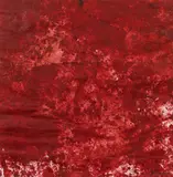 Hermann Nitsch, Untitled (Relicts I)