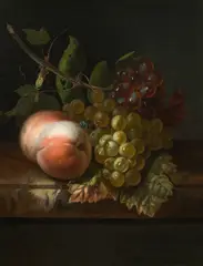 Rachel Ruysch, Still life with grapes, peaches and a fly, oil on canvas