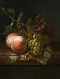 Rachel Ruysch, Still life with grapes, peaches and a fly, oil on canvas