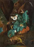 Karl Wilhelm de Hamilton, Forest ground still life with snake, lizard, snails and insects, oil on panel