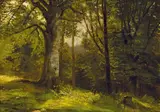 Marie Egner, Forest scene with leaf trees