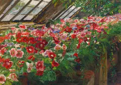 Olga Wisinger-Florian, Gloxinias in the glasshouse of Castel Grafenegg (Lower Austria), oil on cardboard