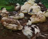 Sleeping ducks by Alexander Koester, oil on canvas, sold Oct 2016