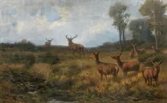 Franz Xaver von Pausinger, Herd of stags on a forest glade, oil on canvas