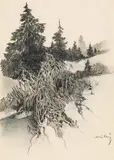Oskar Mulley, Forrest landscape, pencil, colour pencil on paper