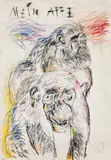 Karl Anton Fleck, Mein Affe (My monkey)