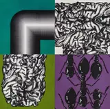 Peter Kogler, Ameisen (Ants)