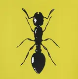 Peter Kogler, Untitled (Ant)