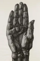Florentina Pakosta, Large hand, chalk on paper; framed