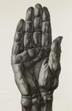 Florentina Pakosta, Large hand, chalk on paper; framed
