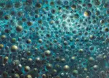 De Es Schwertberger, Space material, 2010, oil on canvas; unframed